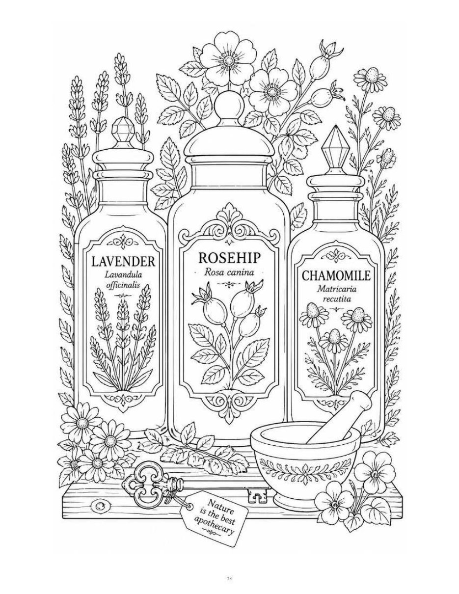 Herbal Apothecary — Composition Study thumbnail