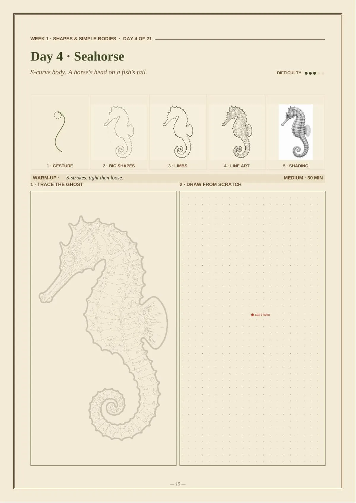 30 Days of Marine Animals — Beginner Drawing Masterclass — Day 04 · Seahorse thumbnail