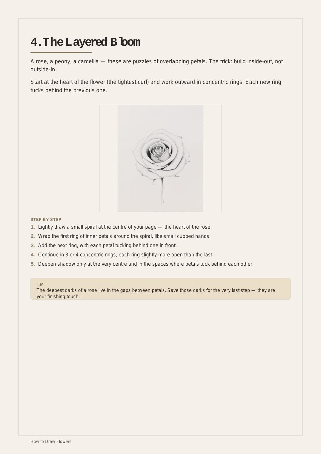 30 Days Botanical Drawing — Reference · The Layered Bloom thumbnail