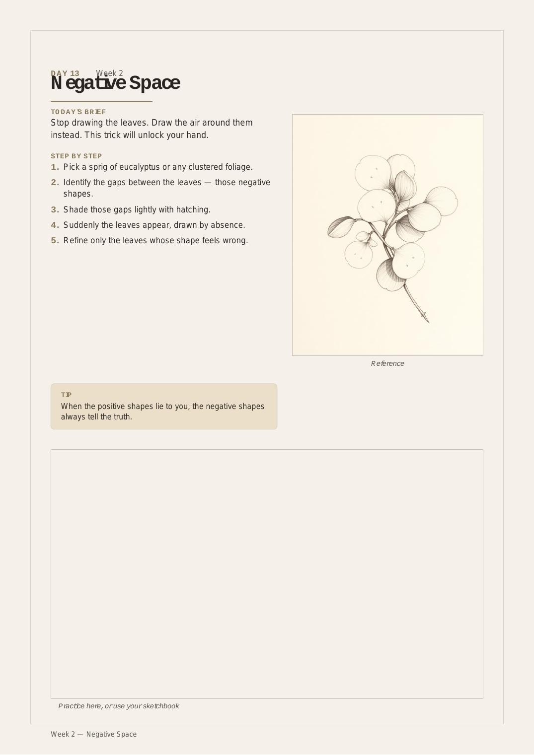 30 Days Botanical Drawing — Day 13 · Negative Space thumbnail