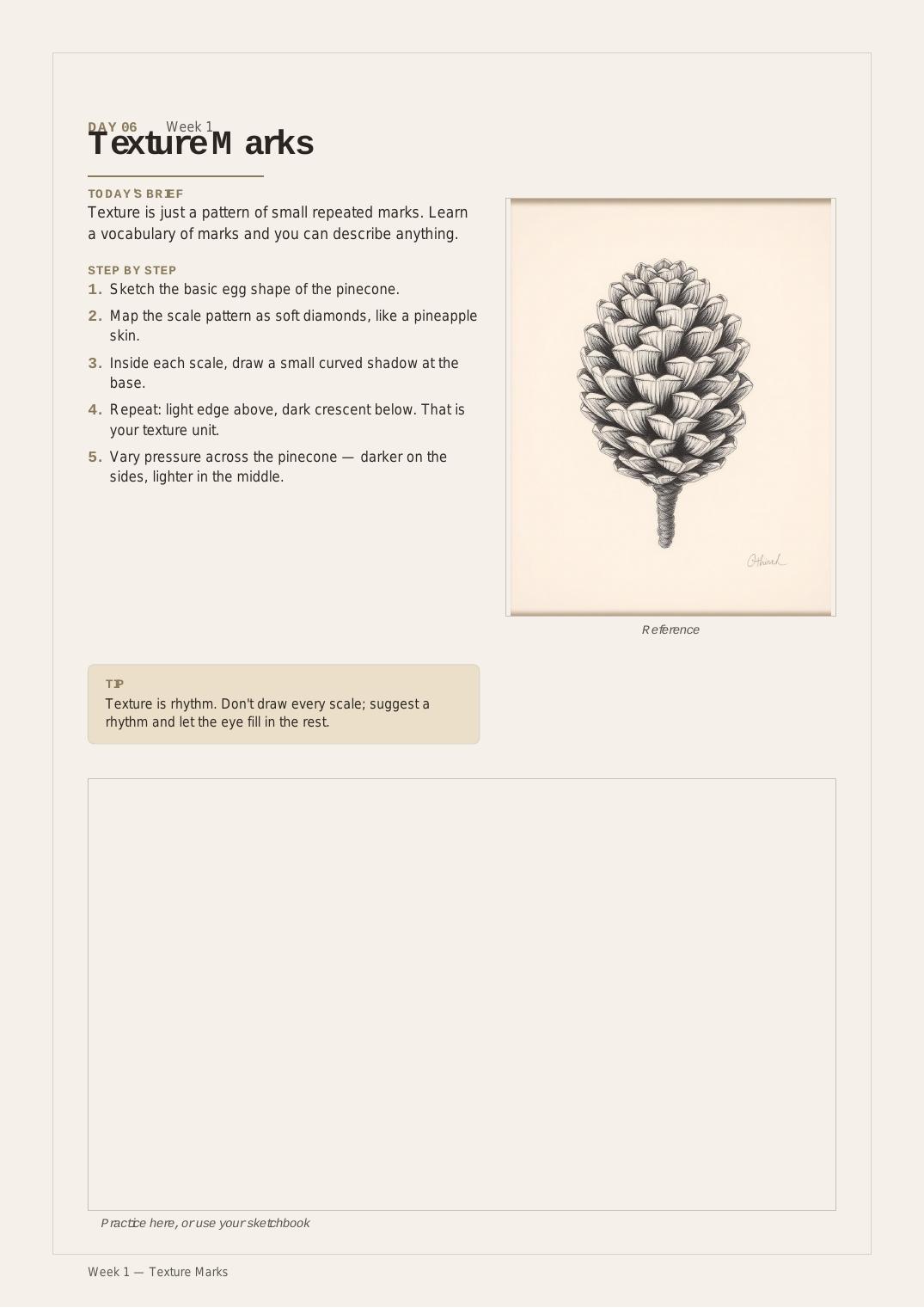 30 Days Botanical Drawing — Day 06 · Texture Marks thumbnail