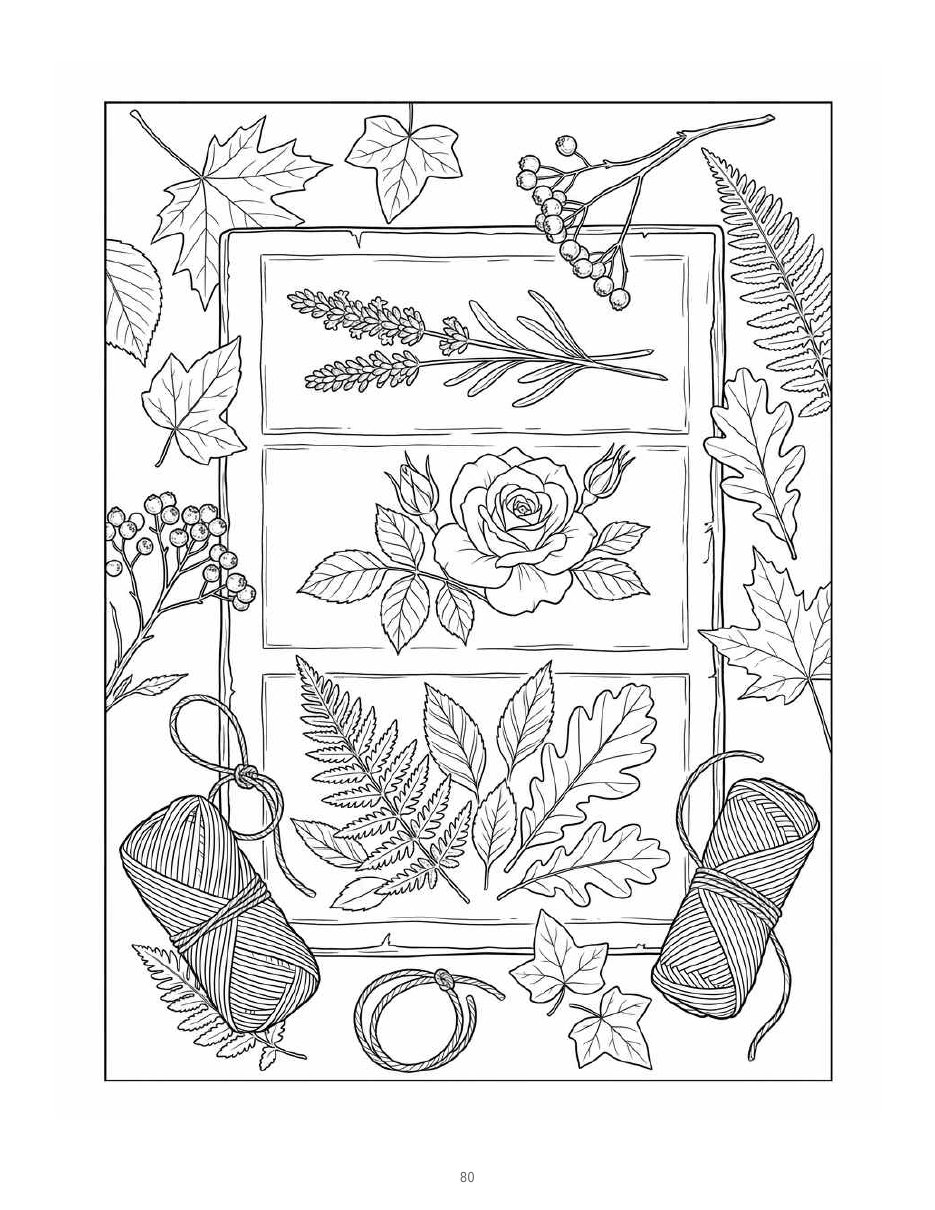 Greenhouse Coloring Book — Composition Study thumbnail