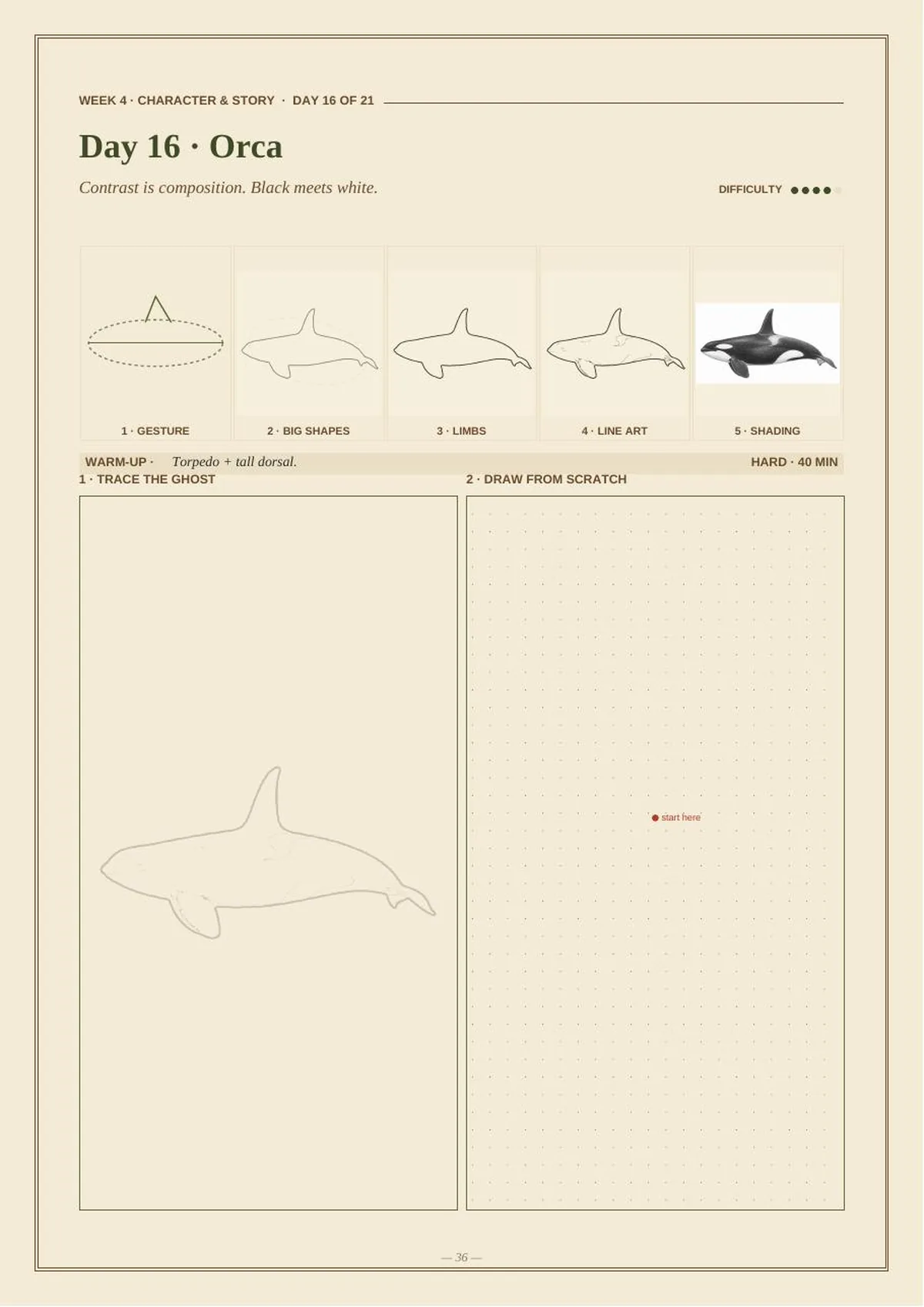 30 Days of Marine Animals — Beginner Drawing Masterclass — Day 16 · Orca