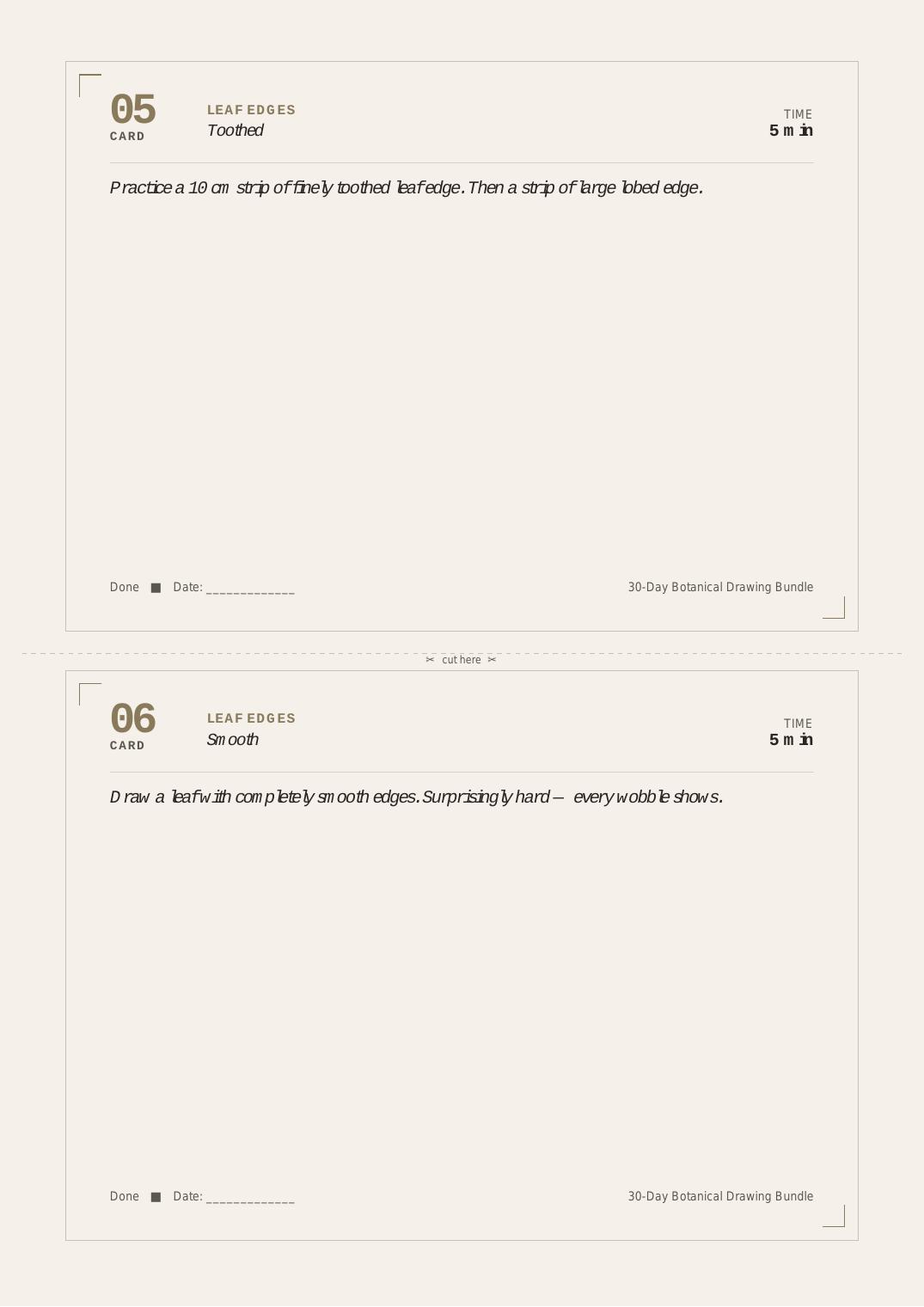 30 Days Botanical Drawing — Practice Cards thumbnail