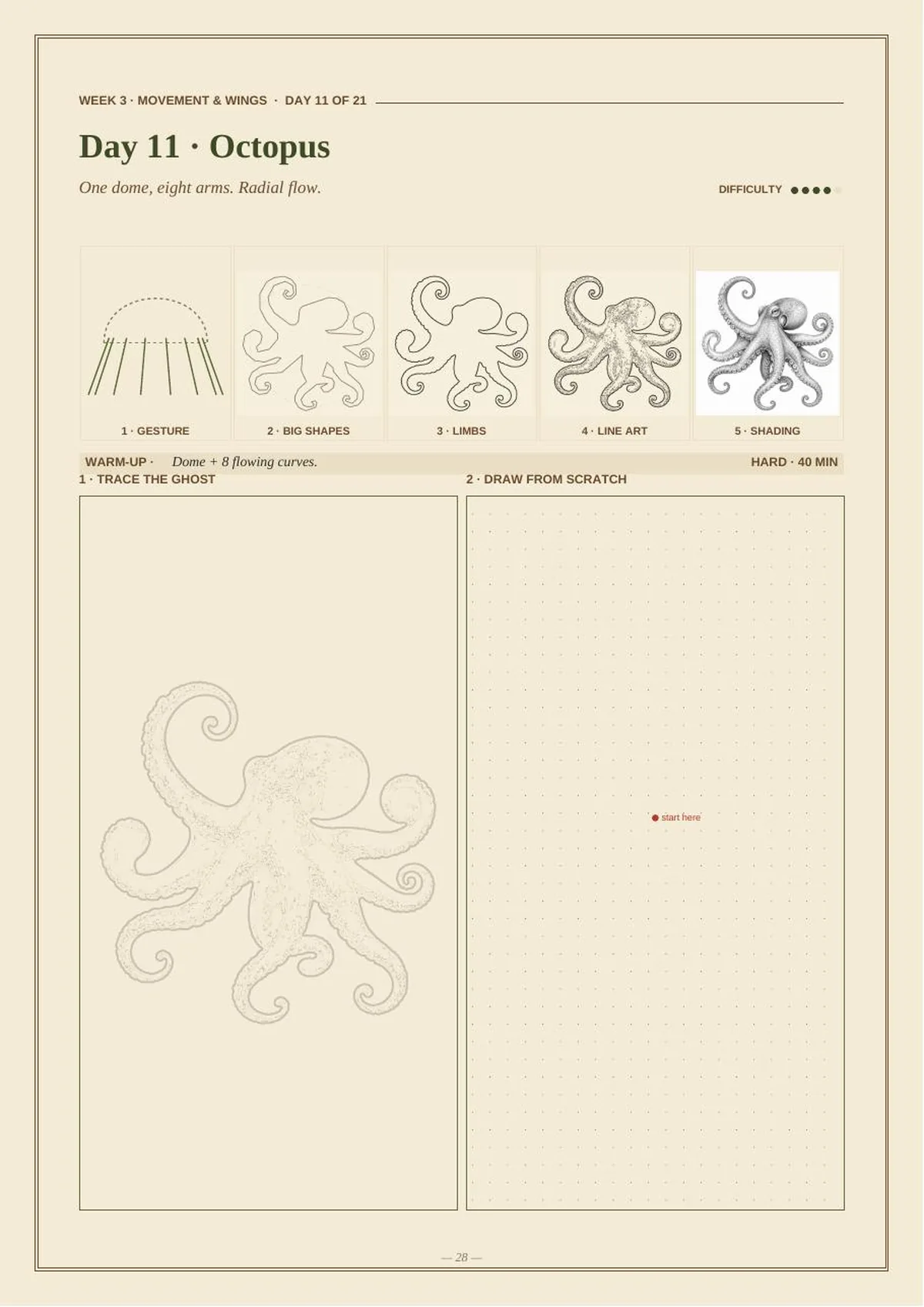 30 Days of Marine Animals — Beginner Drawing Masterclass — Day 11 · Octopus thumbnail